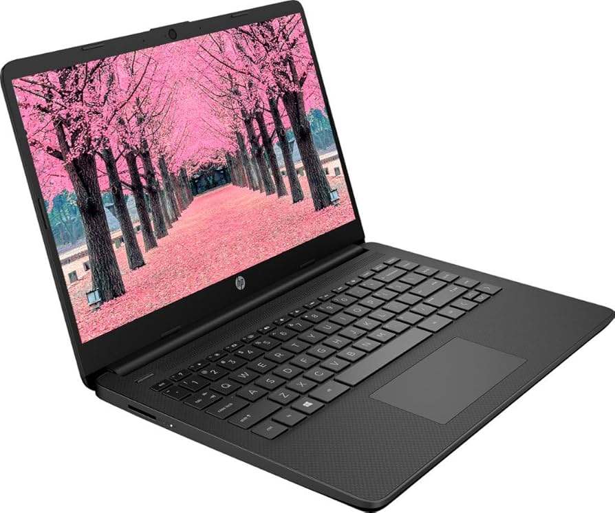 Amazon.com: HP 2024 Premium 13.8
