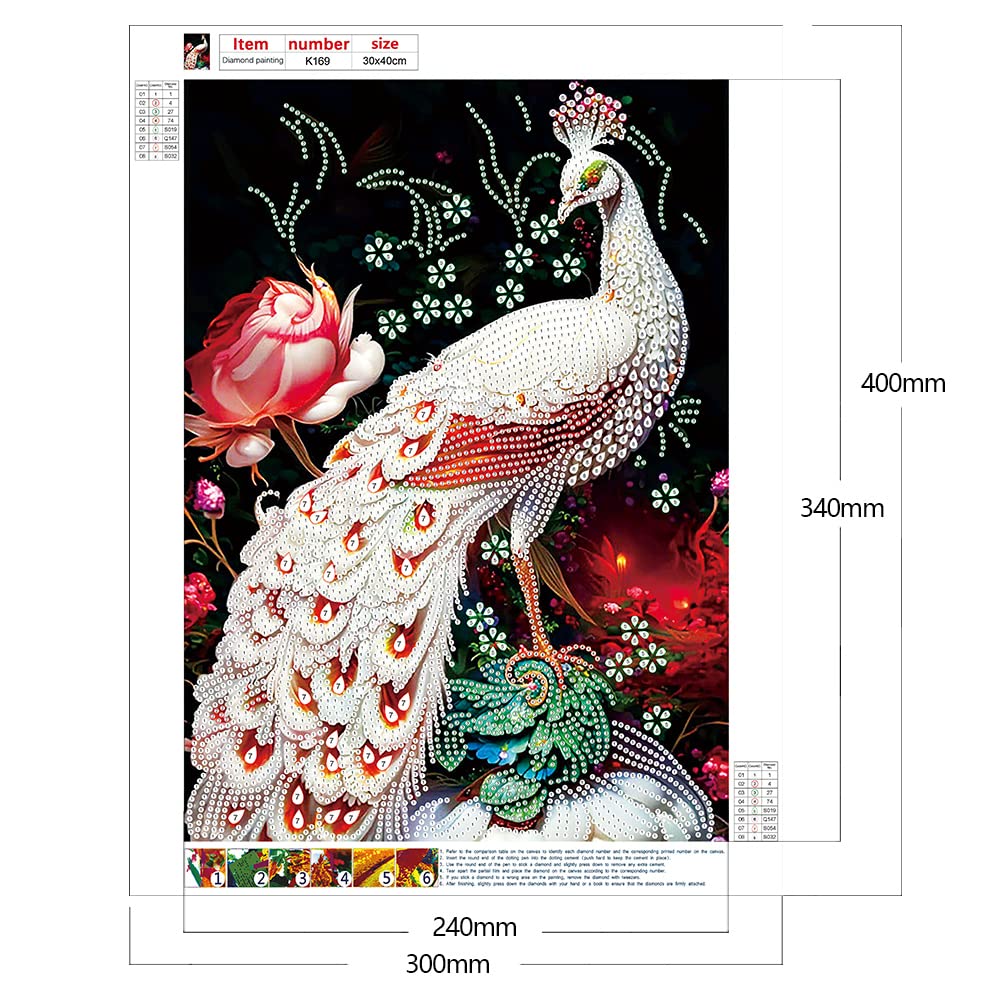Amazon | ピーコックダイヤモンドペインティングキット大人用初心者用