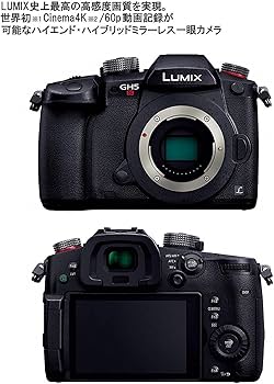 Amazon.co.jp: パナソニック ミラーレス一眼カメラ ルミックス GH5S