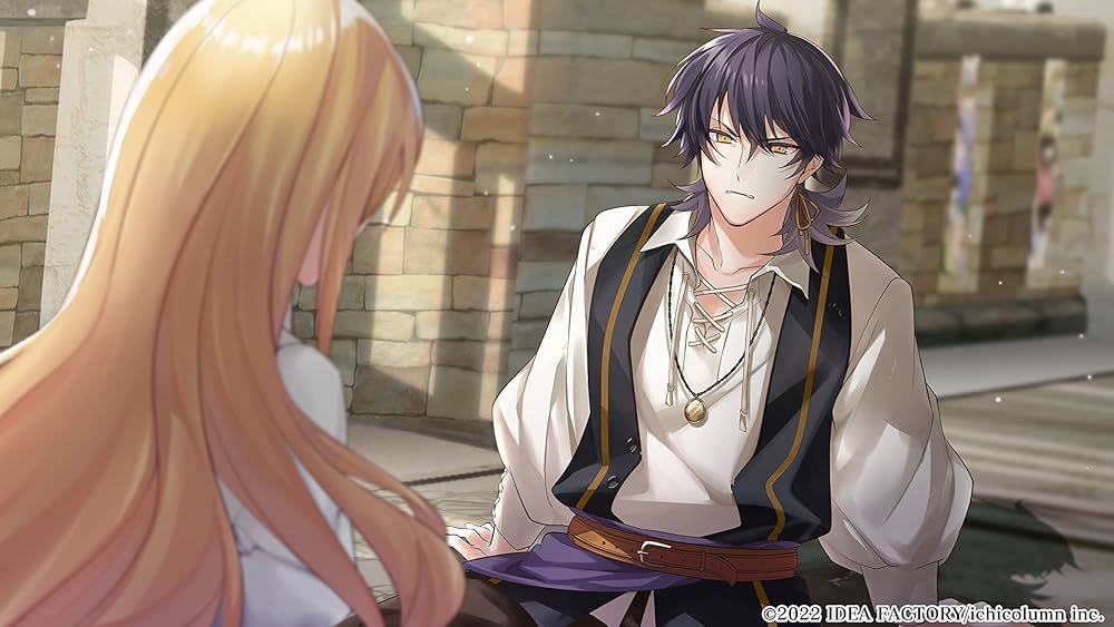 Amazon.co.jp: 【Switch】テミラーナ国の強運姫と悲運騎士団 特装版