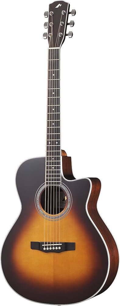 Amazon | Morris (モーリス) エレクトリック アコースティックギター R