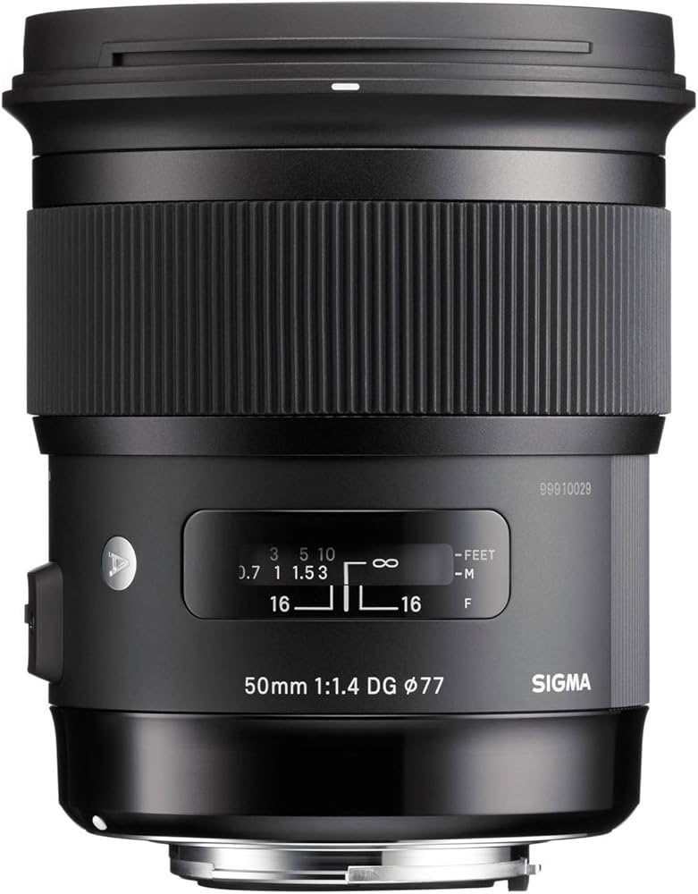 Amazon.com : 50mm F1.4 Art DG HSM for Sony E : Electronics