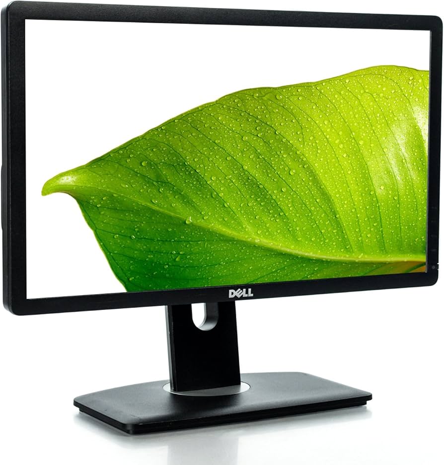 Amazon.com: Dell Professional P2012H 20-Inch Monitor with LED
