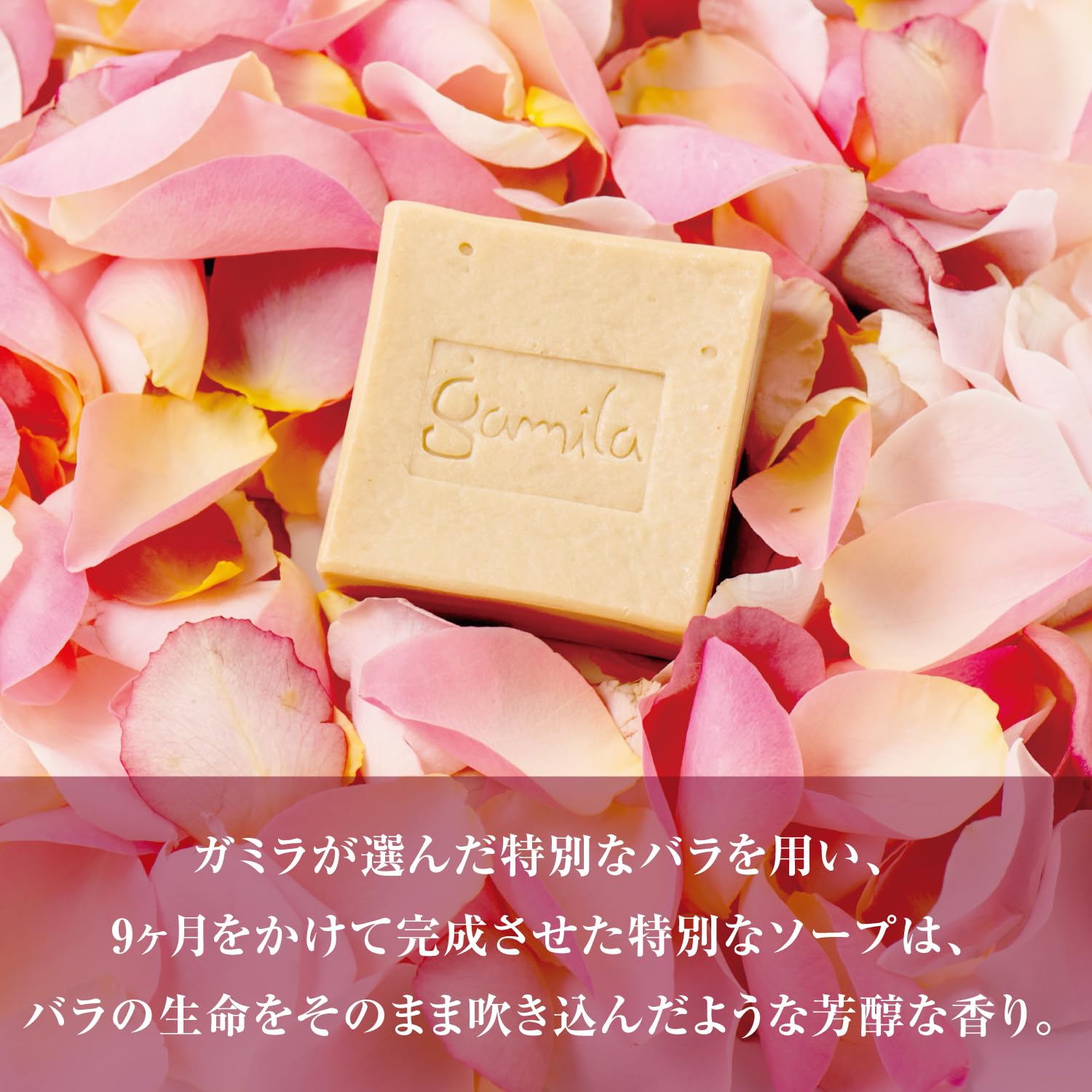 Amazon | ガミラシークレット ソープ ワイルドローズ 約3ヶ月分 手作り