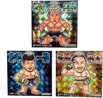 71hFcf4SoBL._AC_UF350,