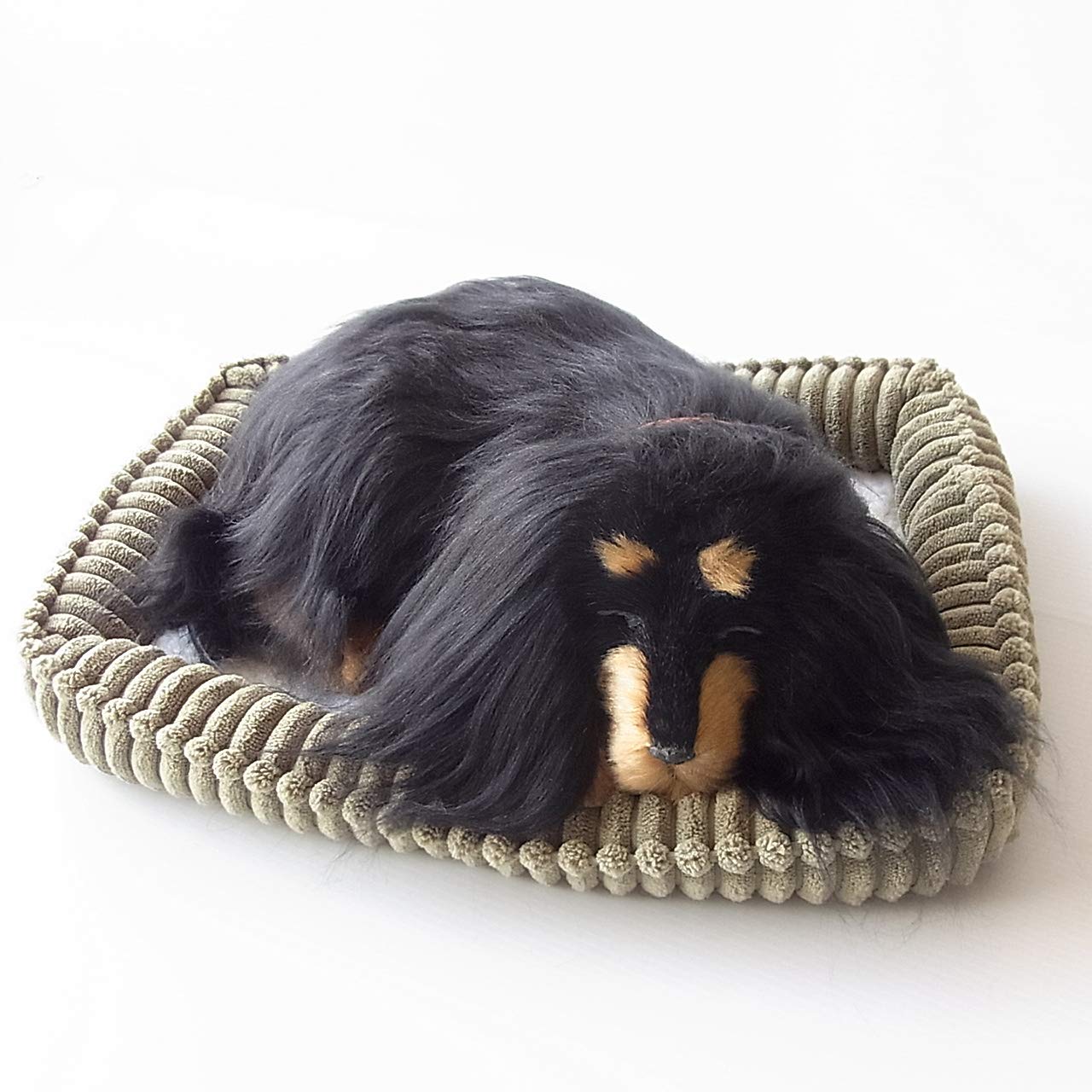 Amazon.co.jp: ニニアンドキノ パーフェクトペット (小サイズ