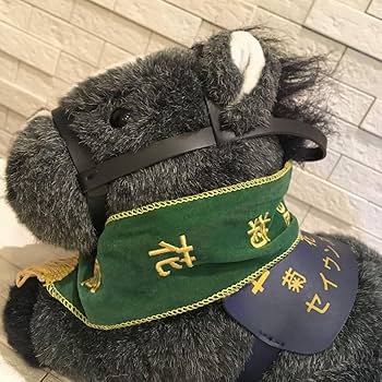 Amazon.co.jp: 第59回 菊花賞 セイウンスカイ 競馬 競走馬 馬