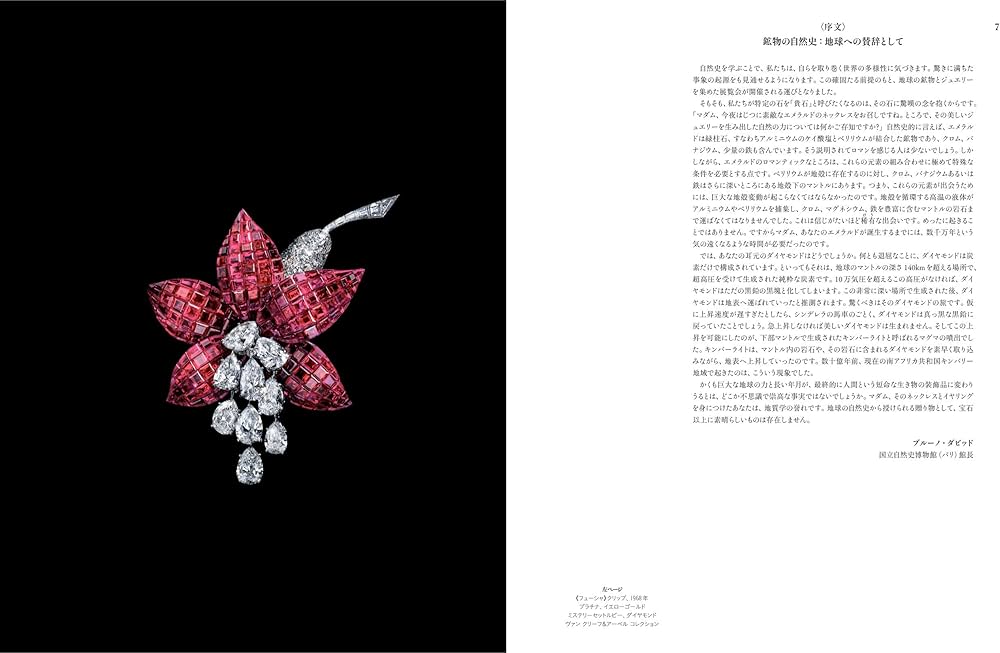 GEMS 美しき宝石と鉱物の世界 | フランソワ ファルジュ, 田中 陵二 |本