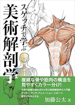 Amazon.co.jp: スケッチで学ぶ美術解剖学 : 加藤 公太, 加藤 公太