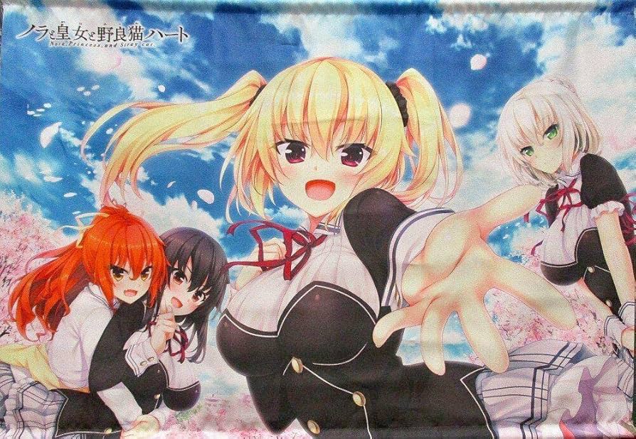 Amazon.co.jp: HARUKAZE ノラと皇女と野良猫ハート アニメ化記念特装版