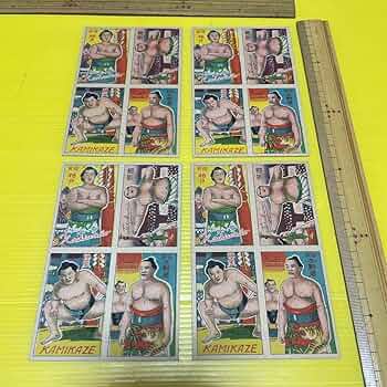 71iQ1lIevEL._AC_UF350,