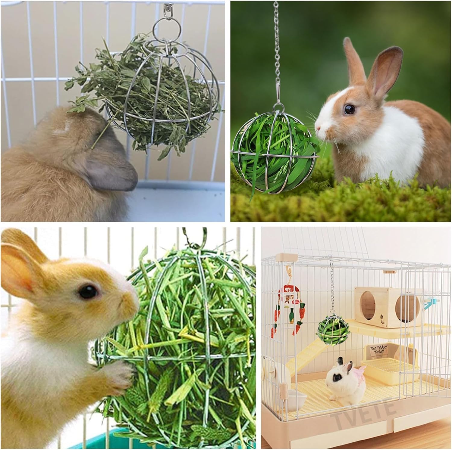 Amazon | Coehaopike チモシー入れ チモシーボール ウサギの草入れ
