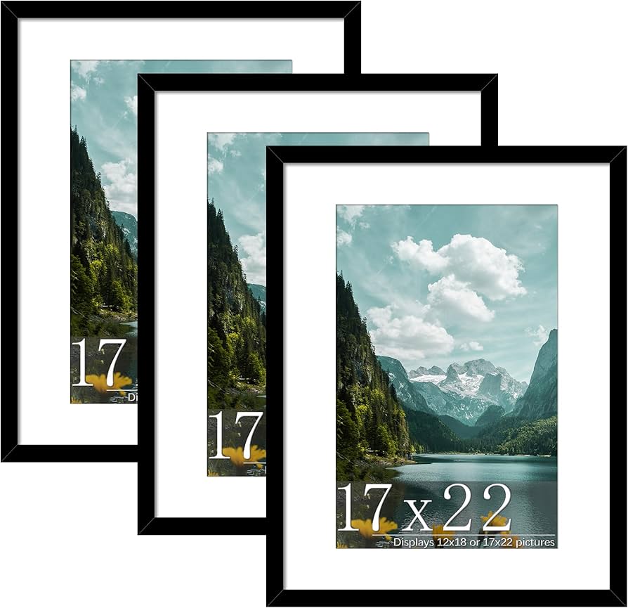 Amazon.co.jp: Picrit 17x22インチ 写真フレーム 3個パック ブラック