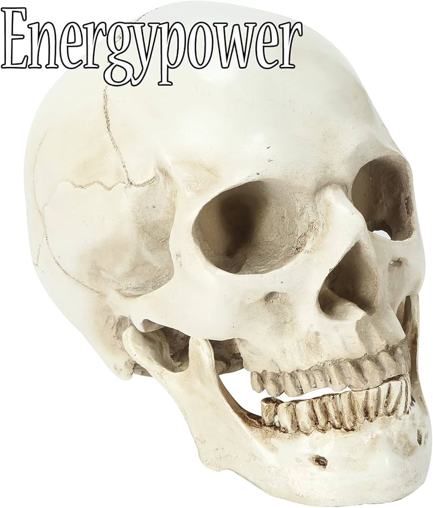 71ilJxpqWvL._AC_UF894,