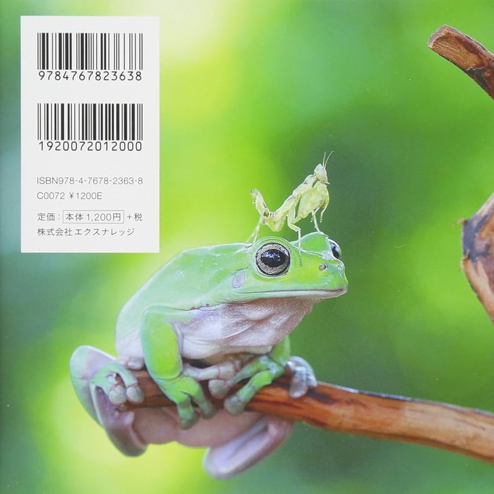 Amazon.co.jp: 写真絵本 カエルLIFE : 本