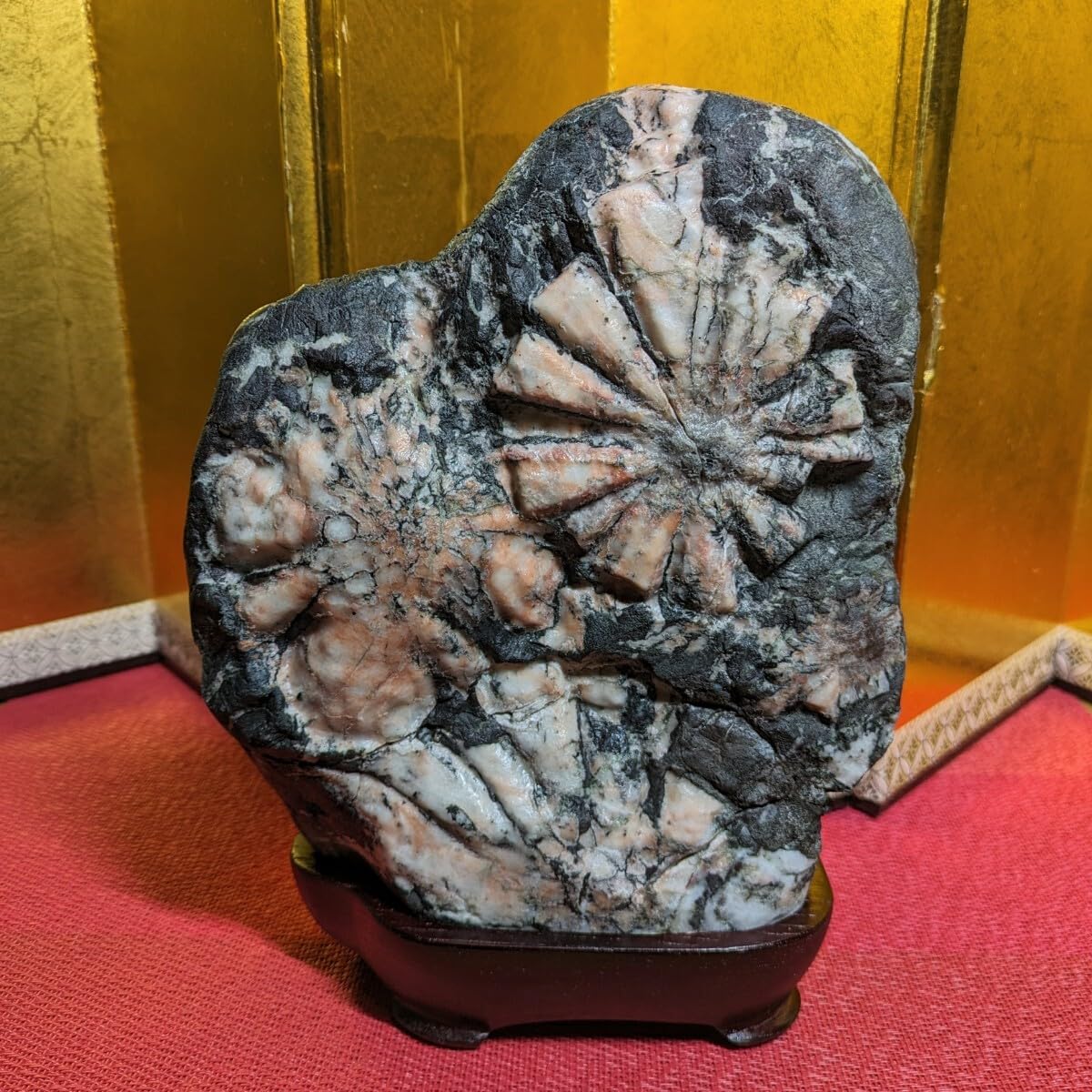 専用⑩①】菊花石 雷光石 鑑賞石 観賞石 水石 盆石 天然石 【公式通販】