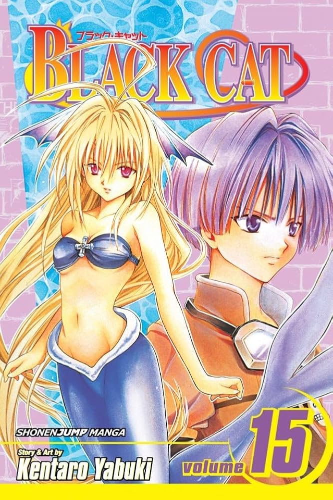 Amazon | Black Cat, Vol. 15: Eve of Battle (English Edition