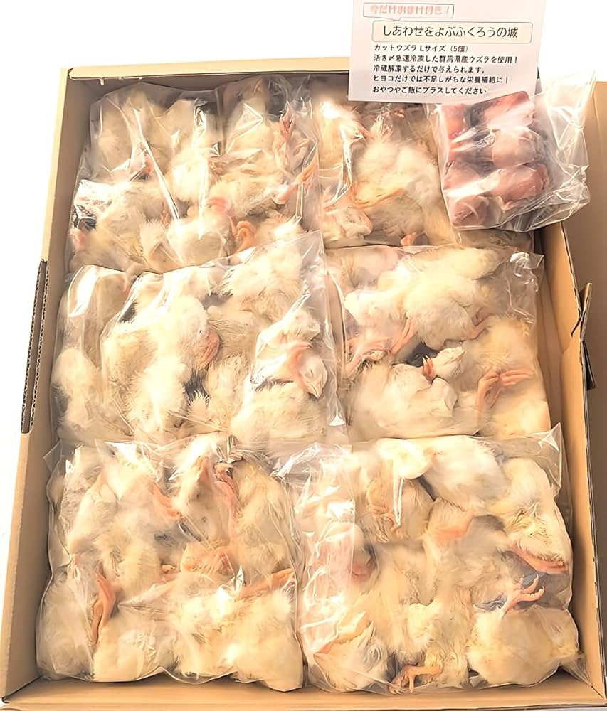 Amazon.co.jp: フクロウ・タカ・ハヤブサ等の餌 冷凍ヒヨコ60羽入り