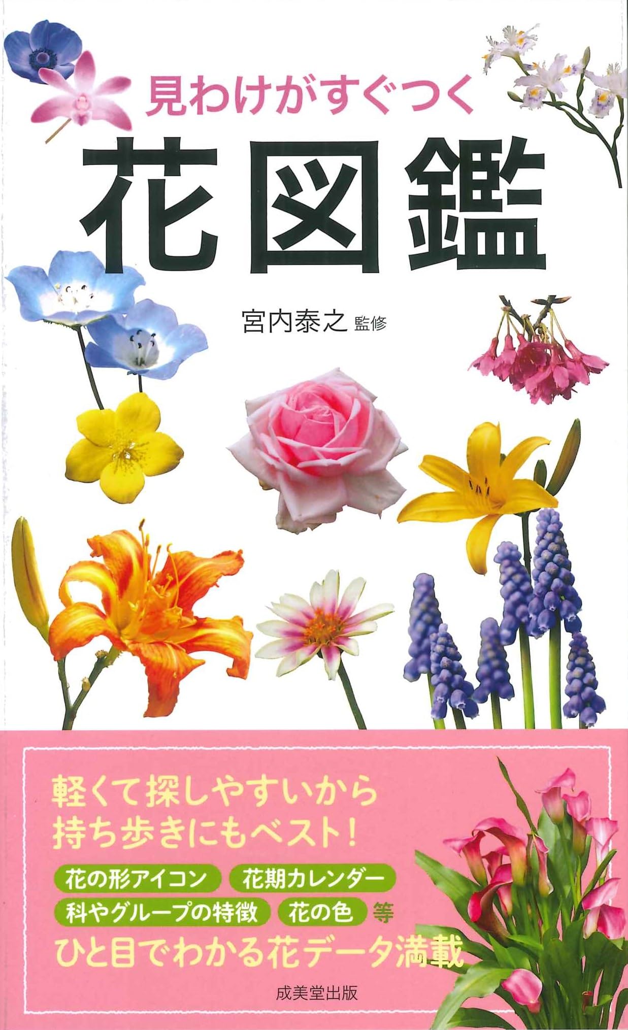 見わけがすぐつく 花図鑑 | 宮内 泰之 |本 | 通販 | Amazon