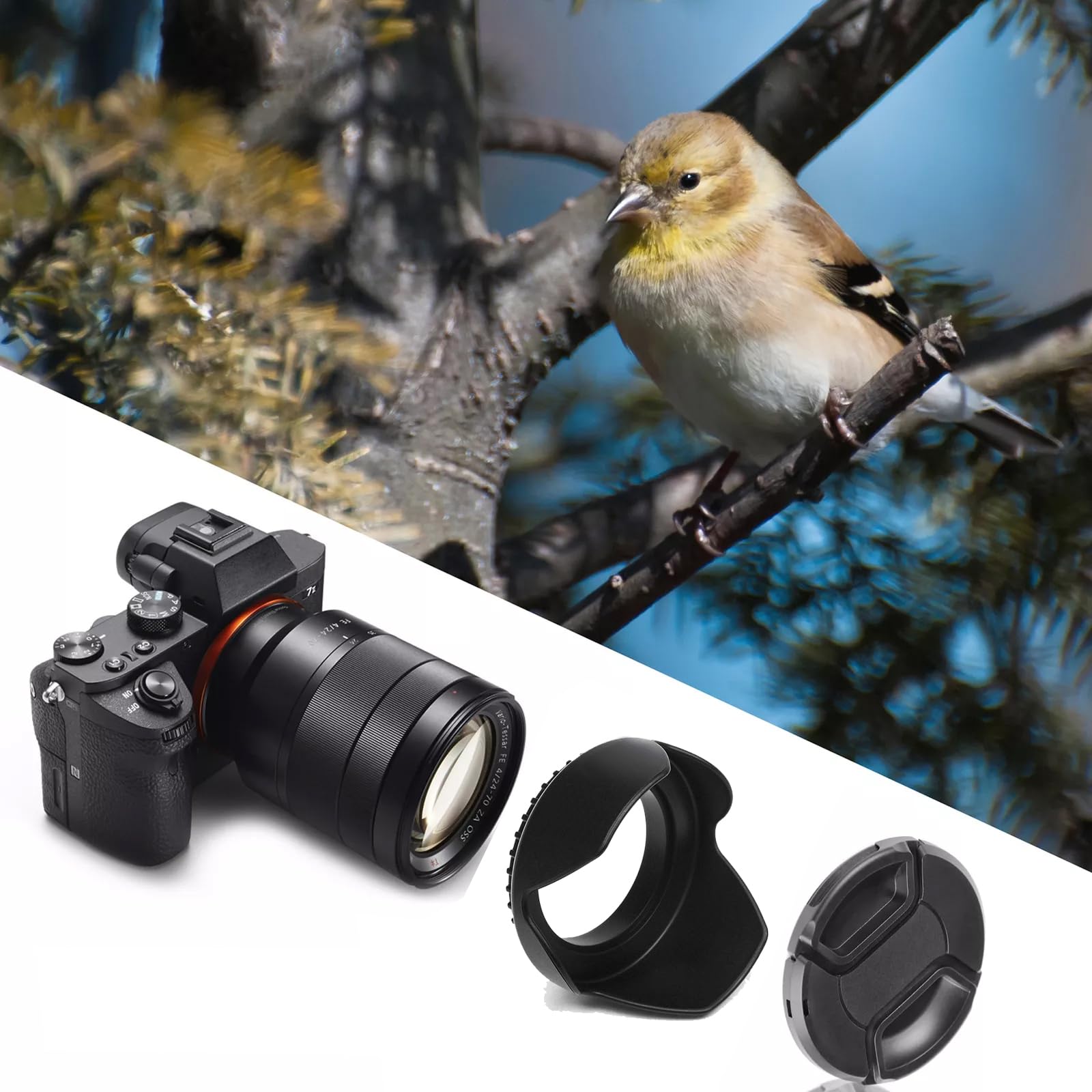 Amazon | レンズフード(シェード) Canon EF-S 55-250mm f/4-5.6 is II