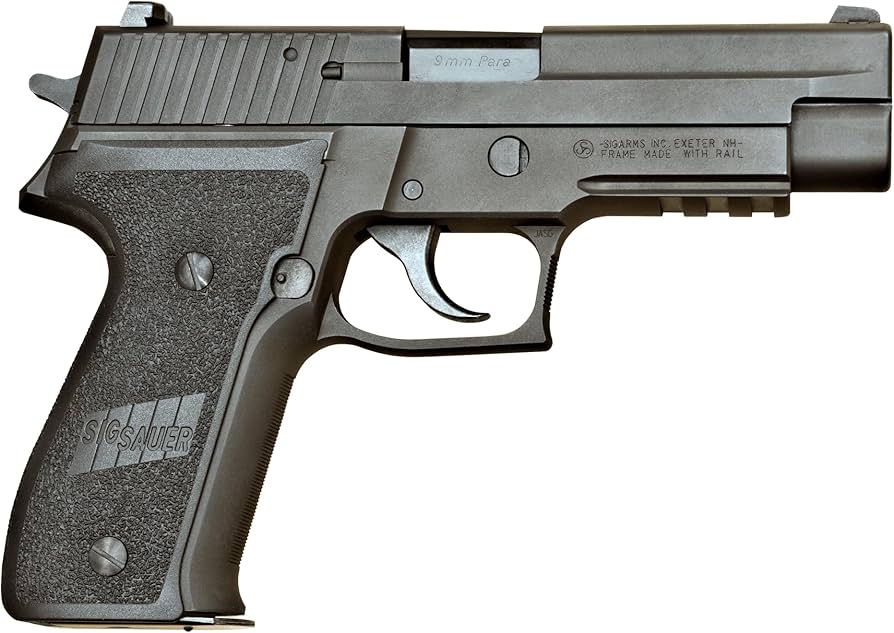 Amazon | ケイエスシー(KSC) P226R スタンダード ヘヴィウェイト 18歳