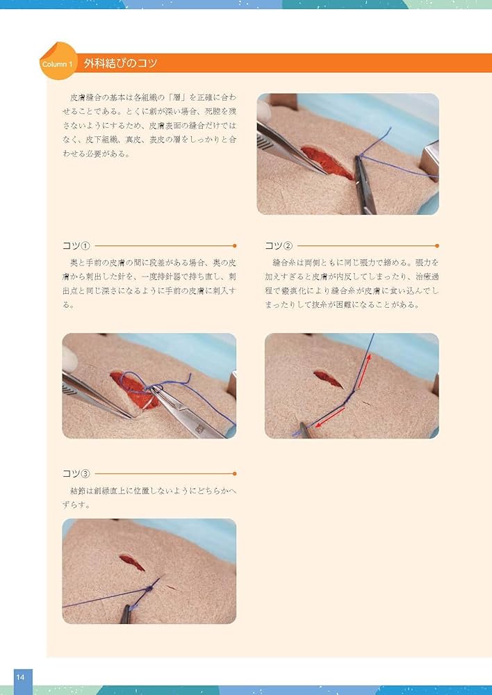 Amazon.co.jp: 小動物基礎臨床技術シリーズ 縫合法 : 左近允 巌, 古田