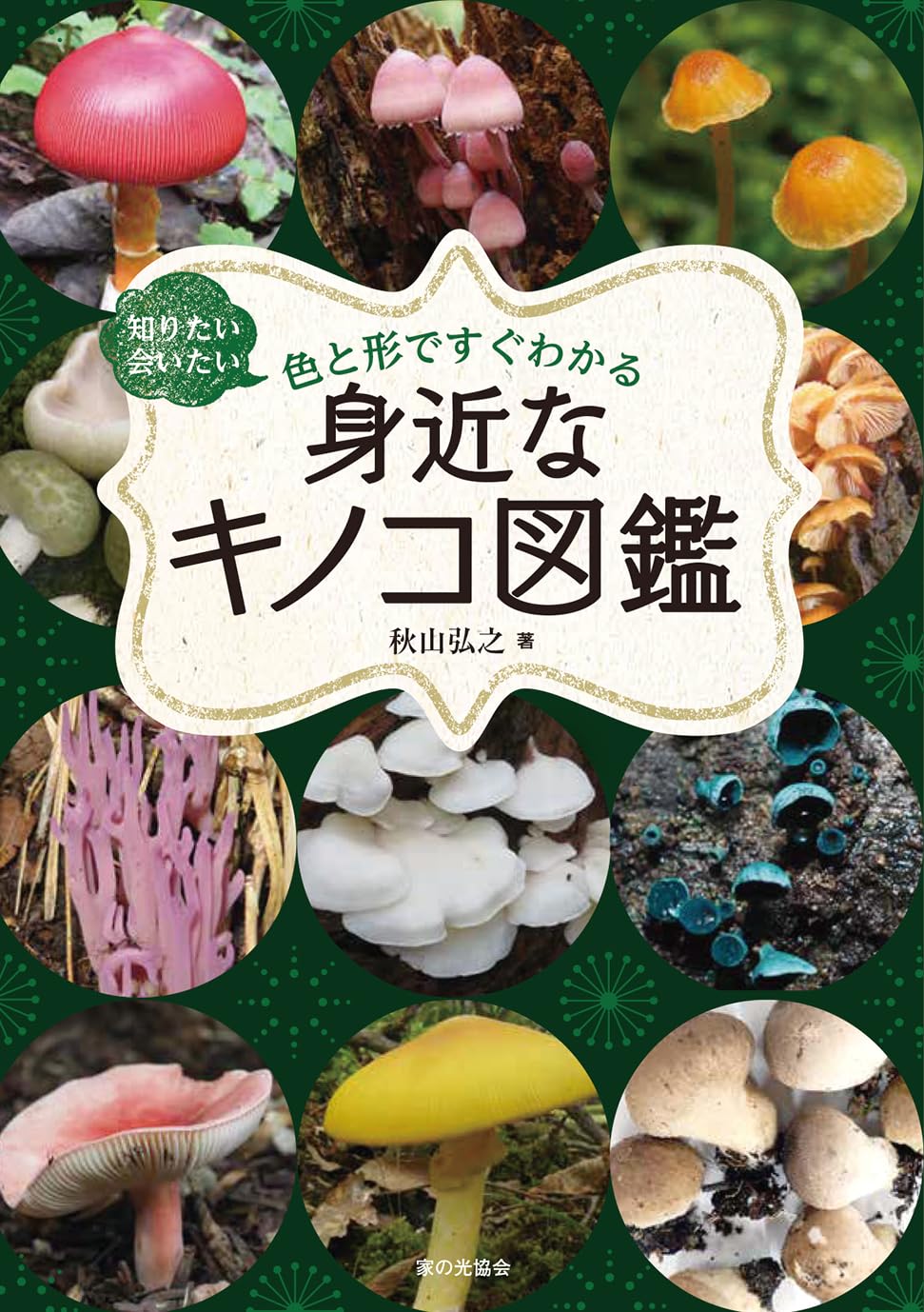 Amazon.co.jp: 身近なキノコ図鑑（知りたい会いたい 色と形ですぐ