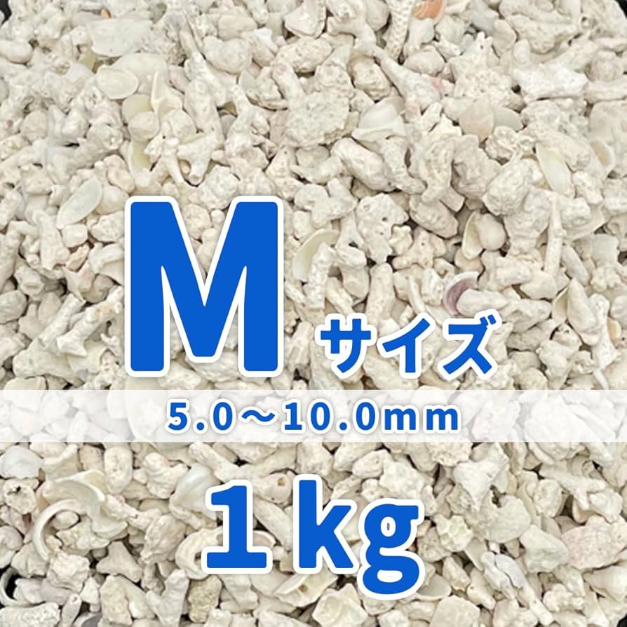 Amazon | パラオ産 サンゴ砂 パラワンサンド 【Mサイズ 1kg