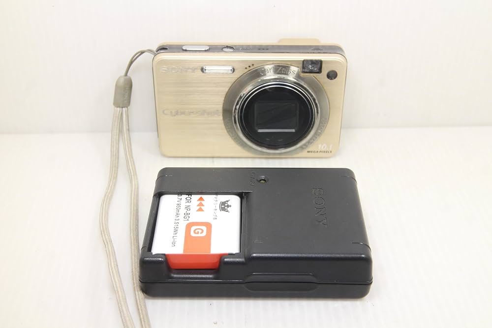 Amazon.co.jp: Sony Cyber-Shot Digital Camera W170 (10.1 Megapixels