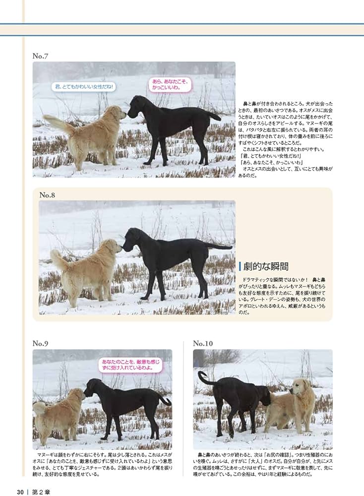 ドッグ・トレーナーに必要な「深読み・先読み」テクニック: 犬の行動