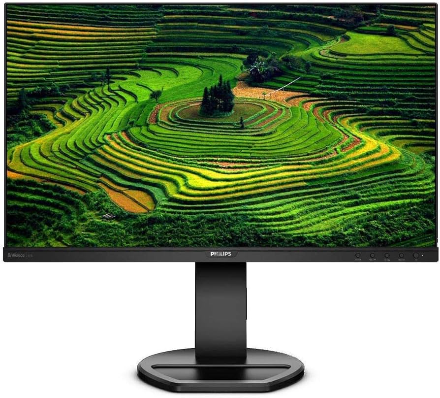 Amazon.com: Philips 241B8QJEB 24