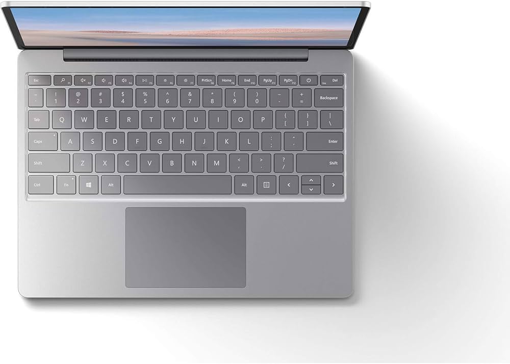 Microsoft Surface Laptop Go 10th Gen i5-1035G1 12.4 inches