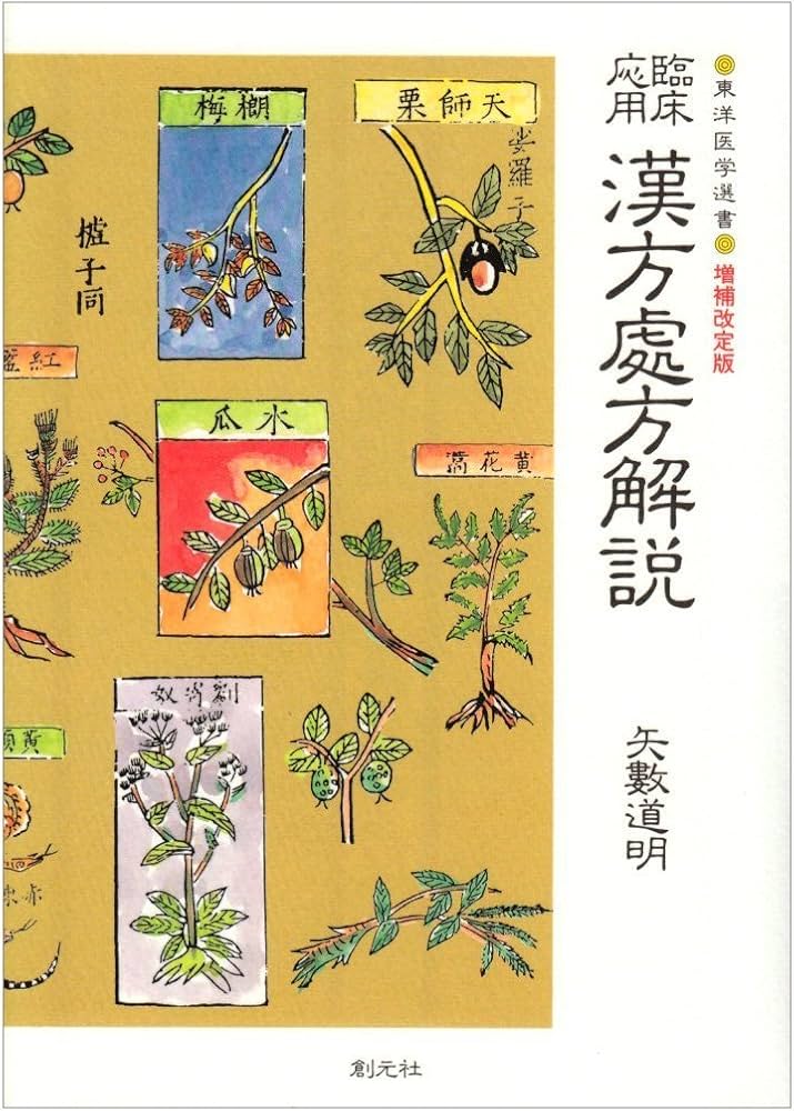 臨床応用 漢方処方解説:増補改訂版 (東洋医学選書) | 道明, 矢数 |本