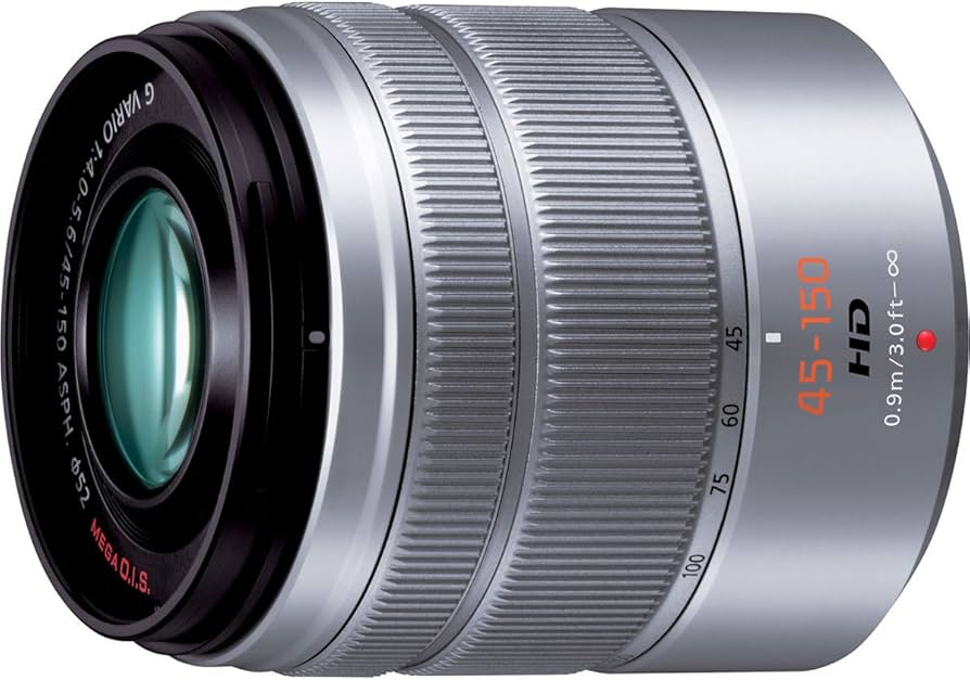 Amazon.com : Panasonic H-FS45150S Lumix G Series Lens (Silver