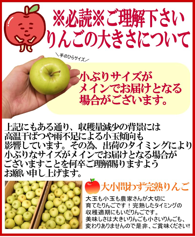 Amazon.co.jp: りんご 10kg箱 サンふじ ご家庭用/訳あり 青森 10キロ箱