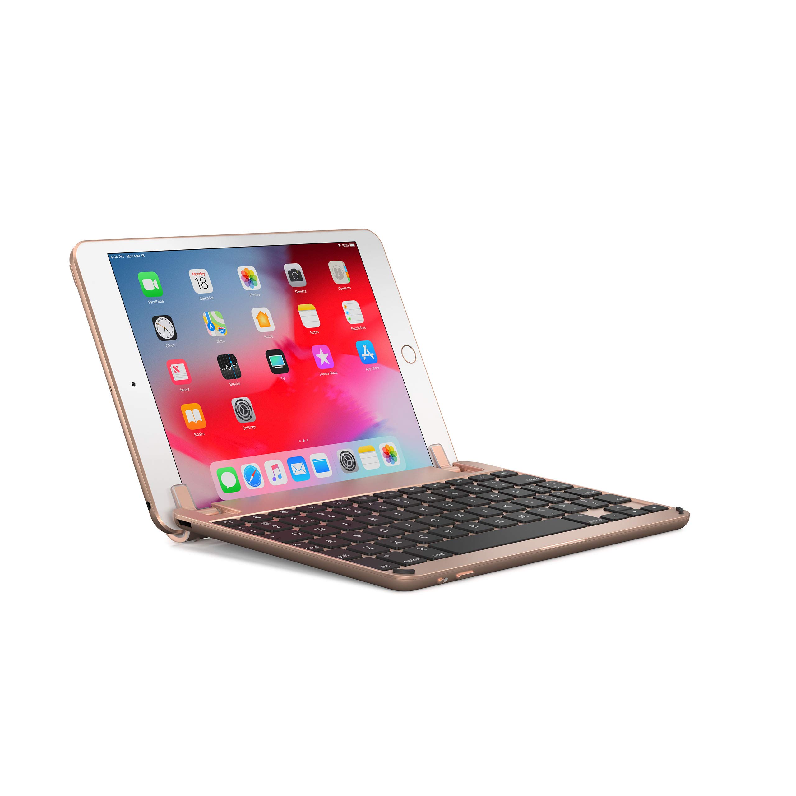 Amazon.com: Brydge 7.9 Keyboard for iPad Mini (2019) and iPad Mini