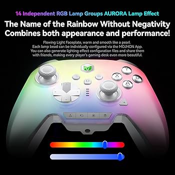 Amazon.com: BIGBIG WON Rainbow 3 Wireless Controller 2000Hz