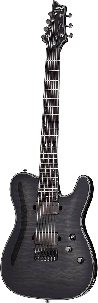 Amazon.com: Schecter 1935 Hellraiser Hybrid PT-7 7-String Solid