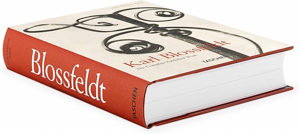 Amazon.com: Karl Blossfeldt. The Complete Published Work