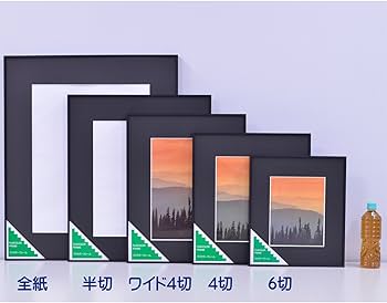 Amazon.co.jp: FUJICOLOR 額縁 A300 半切 アルミ ブラック 39681 : ホビー