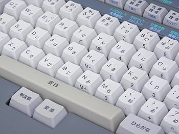 Amazon.co.jp: 富士通 ワープロ オアシス OASYS LX-4500NT : パソコン