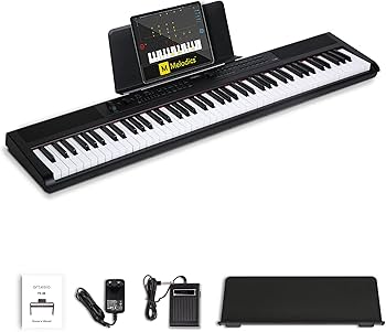 Amazon.com: Artesia PE-88 Arranger Keyboard Piano with Full Size