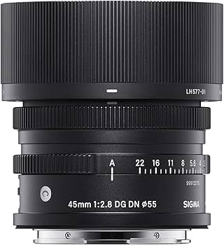 Sigma 45mm F2.8 Contemporary DG DN Lens for Sony E Mount : Amazon