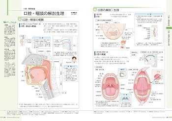 病気がみえる vol.13 耳鼻咽喉科 第1版 | 医療情報科学研究所 |本