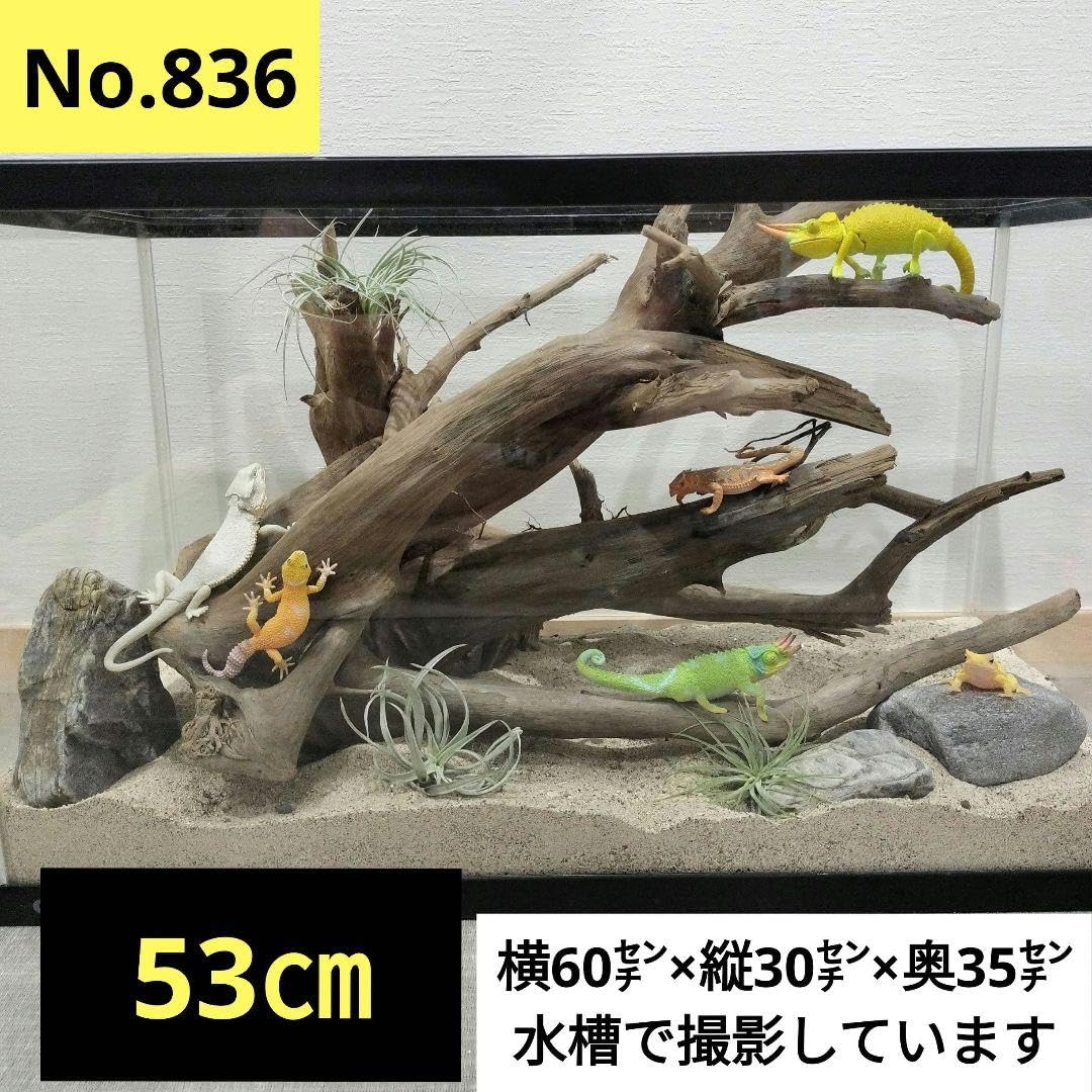 Amazon.co.jp: No.836大型流木 爬虫類レイアウトインテリア置物エアー