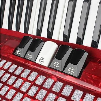 71lpYU3h-2L._AC_UF350,