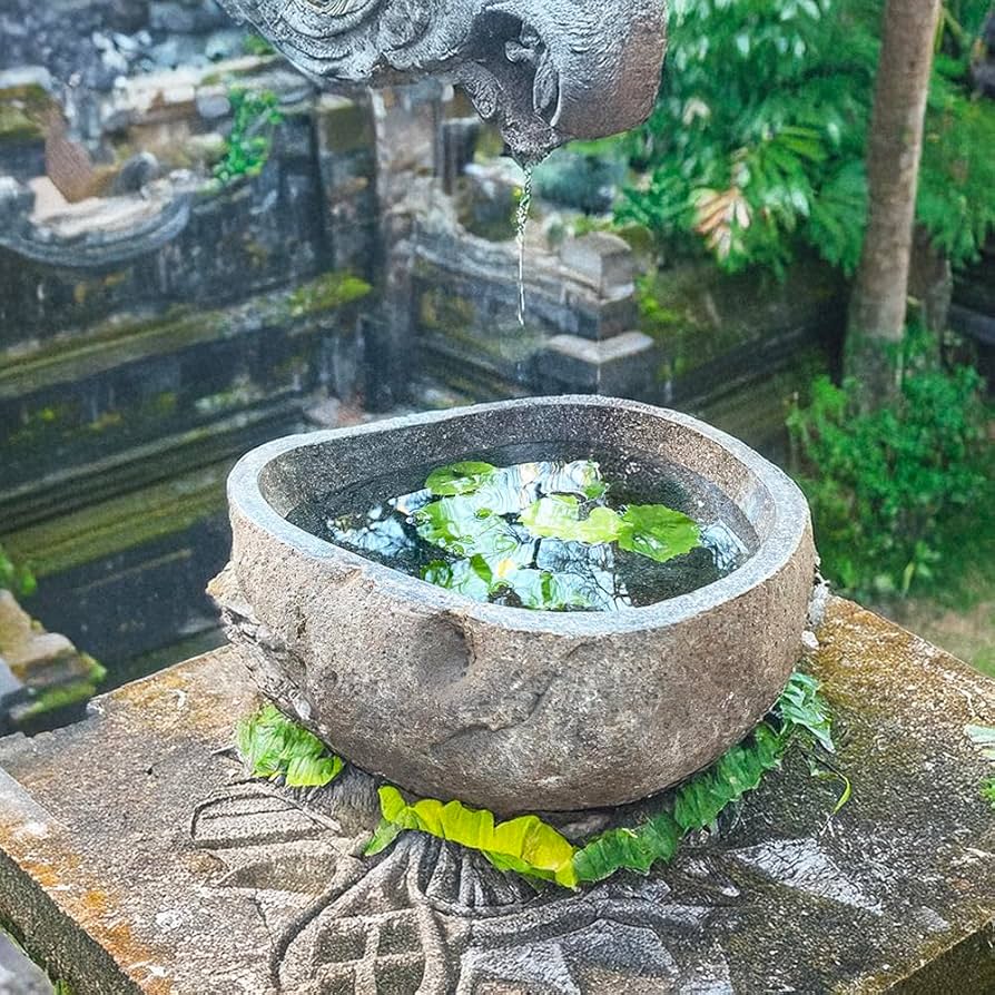 Amazon.co.jp: つくばい 蹲 手水鉢 石 鉢 水鉢 睡蓮鉢 スイレン鉢 ハス