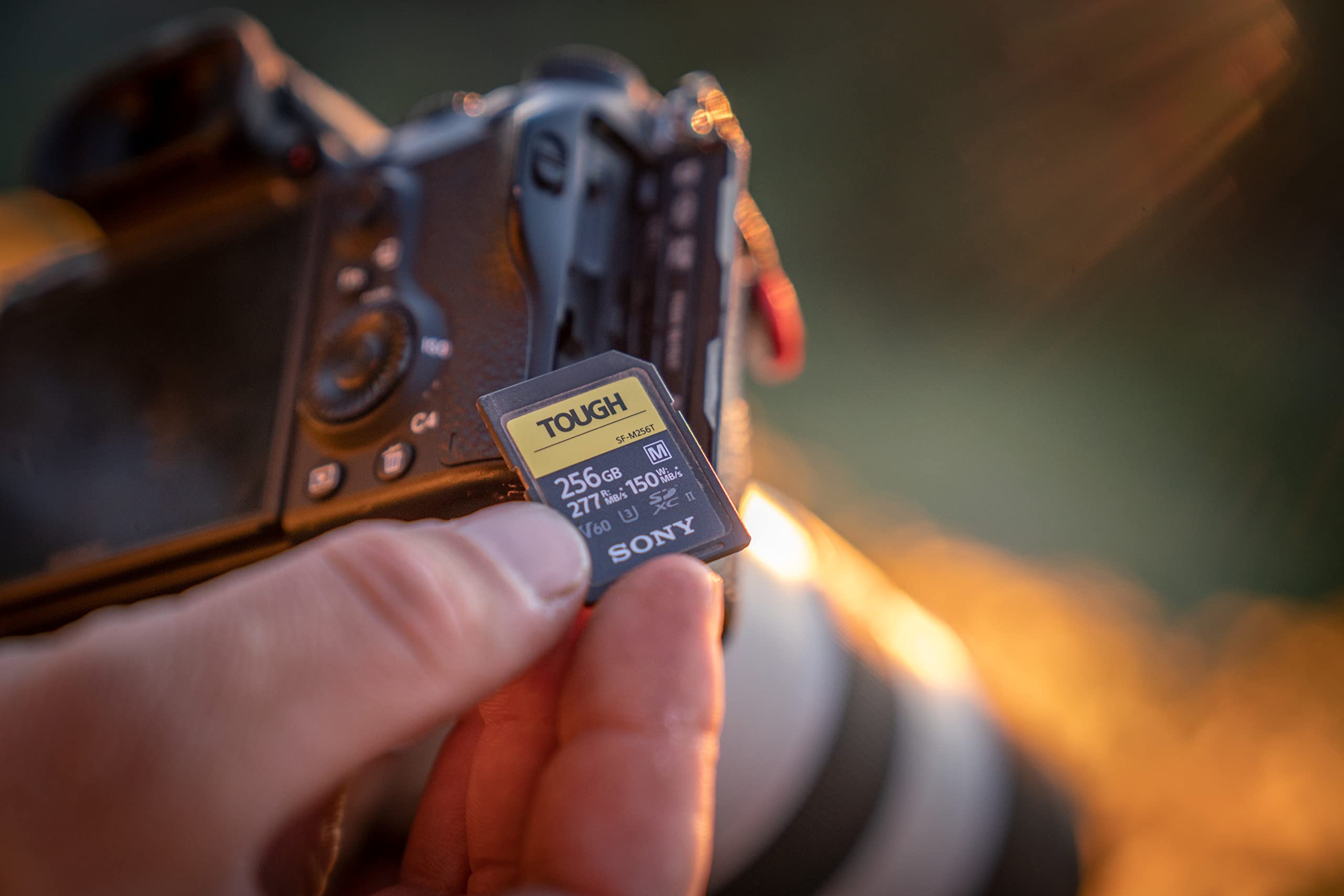 Sony 512 GB Tough M Series UHS-II SDXC Memory Card : Amazon.ca