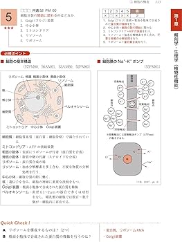 理学療法士・作業療法士国家試験必修ポイント 専門基礎分野 基礎医学
