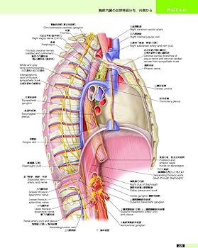 あたらしい人体解剖学アトラス 第2版 | 佐藤達夫 |本 | 通販 | Amazon